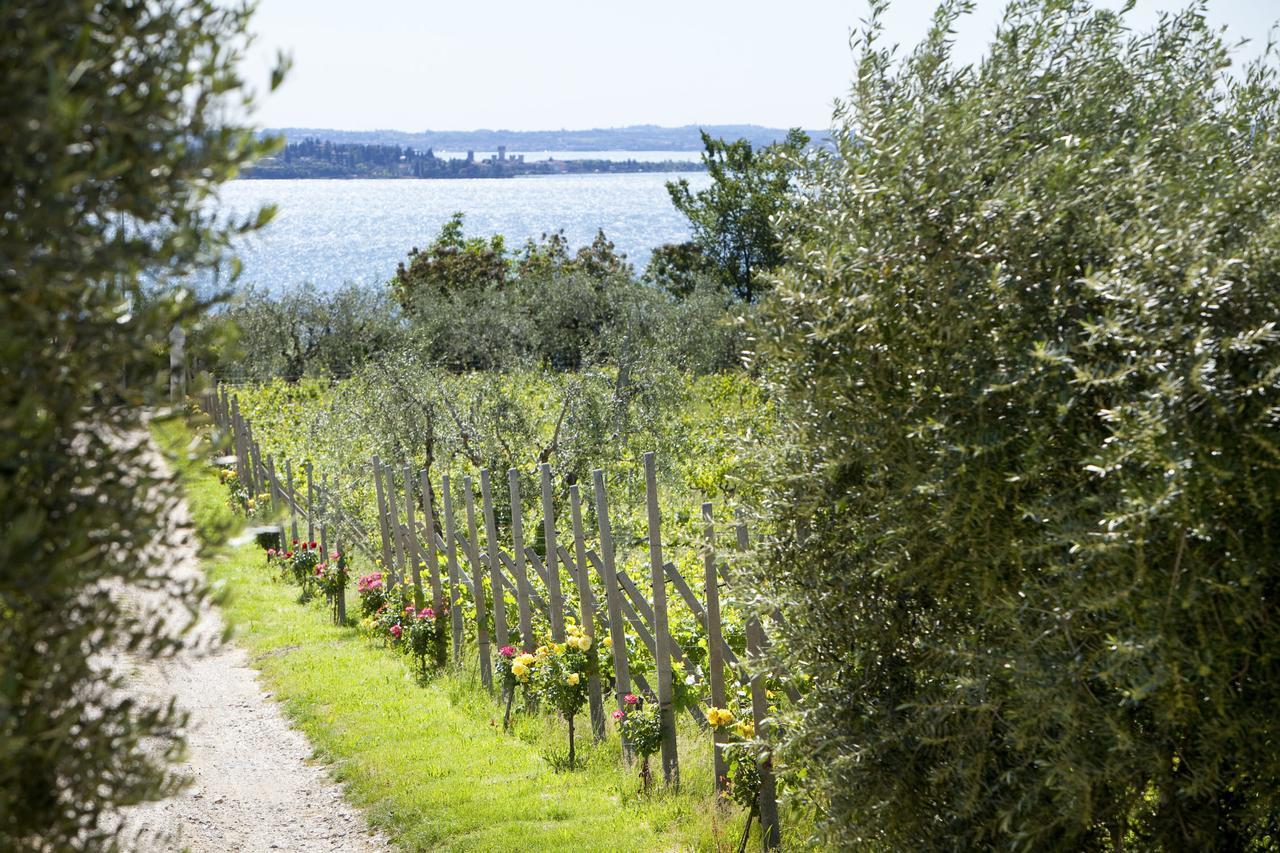 Agrigturismo Monte Cicogna Villa Moniga del Garda Екстериор снимка