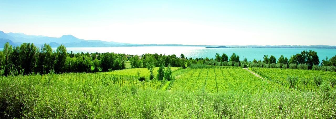 Agrigturismo Monte Cicogna Villa Moniga del Garda Екстериор снимка